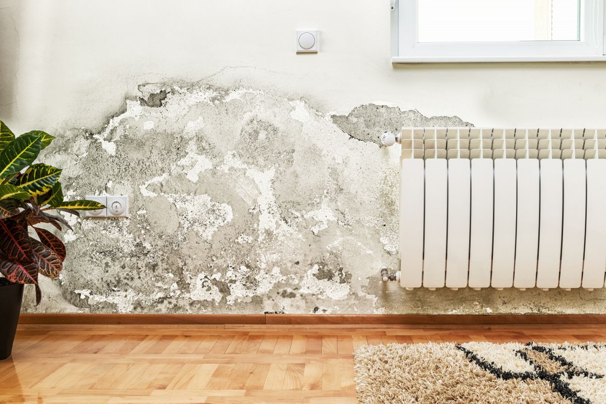 Water Damage Retoration,